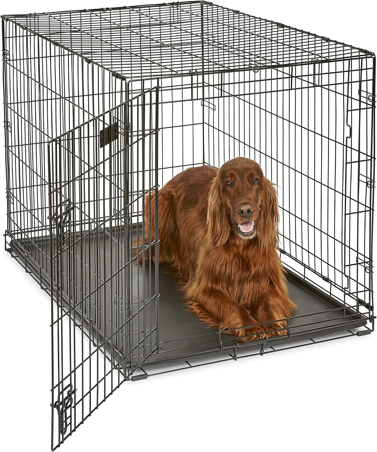 MidWest Homes for Pets Dog Crate | iCrate Single Door & Double Door Folding Metal Dog Crates