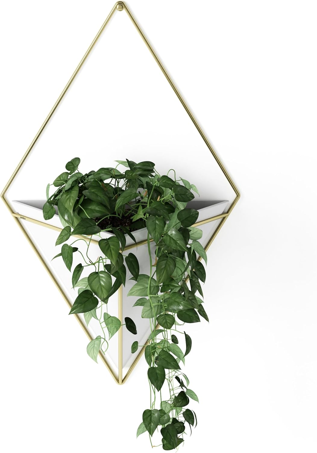 Umbra Trigg Hanging Planter Vase & Geometric Wall Decor Container