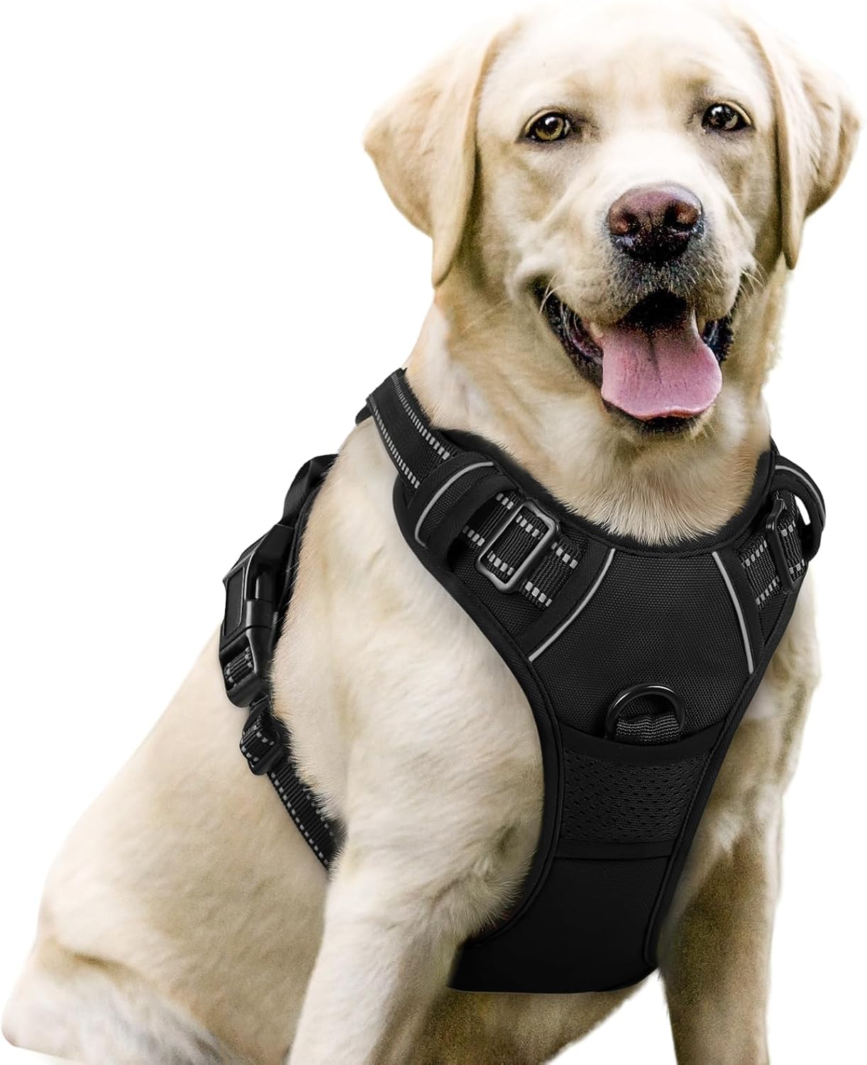 Rabbitgoo Dog Harness No-Pull Pet Harness