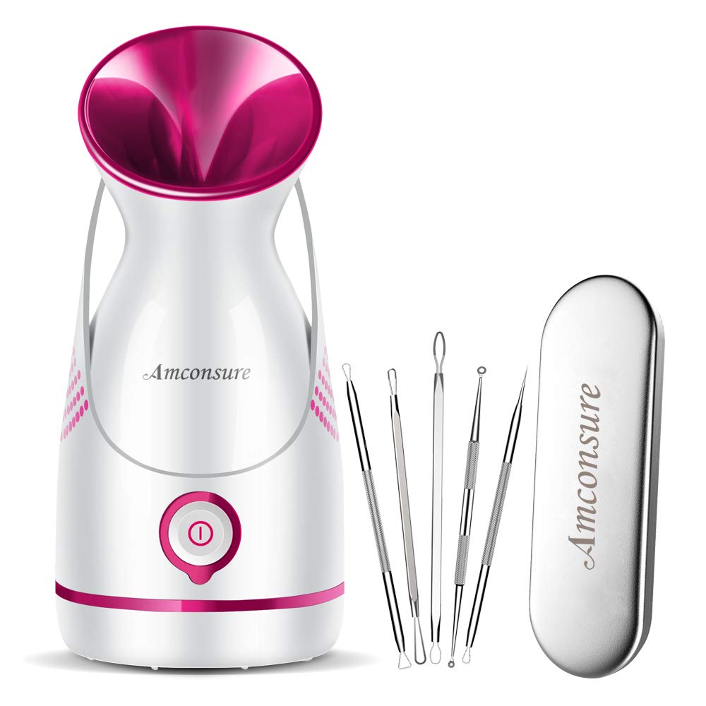 ECVISION Nano Ionic Warm Mist Facial Steamer