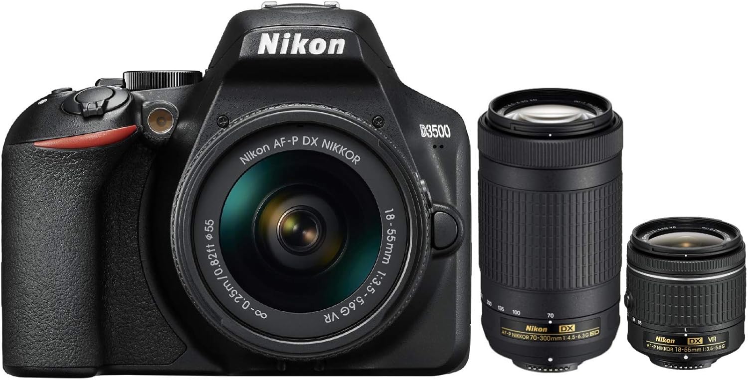 Nikon D3500 W/ AF-P DX NIKKOR 18-55mm f/3.5-5.6G VR