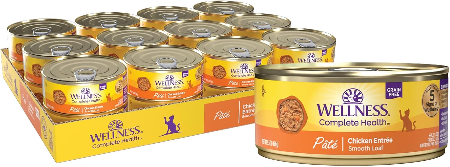 Purina ONE Natural Dry Cat Food