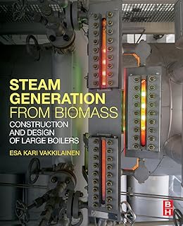Biomass Steam Generation Guide