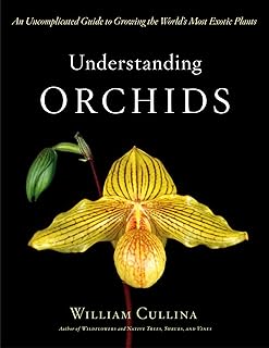 Orchids: Uncomplicated Exotic Plant Guide
