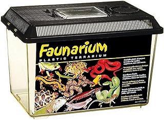 Exo Terra Medium Faunarium