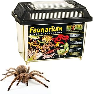 Exo Terra Small Reptile Terrarium