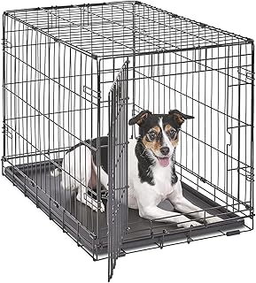 MidWest iCrate Folding Dog Crate
