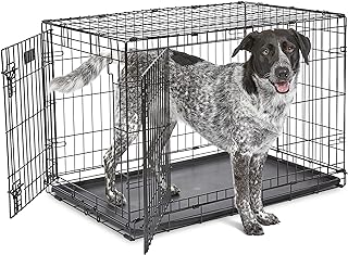 MidWest 36-Inch Two-Door Dog Crate