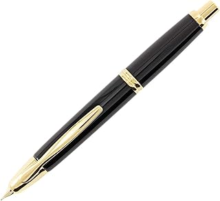 Pilot Vanishing Point Fountain Pen