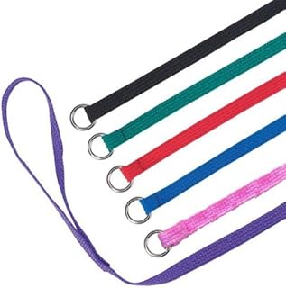 Downtown Pet Supply Slip Leash