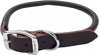 Coastal Pet Leather Dog Collar