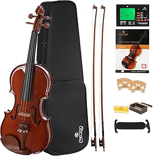 Cecilio Solidwood Beginner Violin Kit