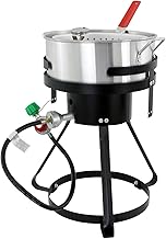 Chard Silver Fish & Wing Fryer