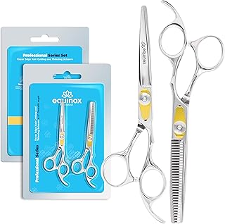 Equinox Professional Hair Scissors Set