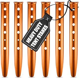 Vibrant Aluminum Beach Stakes