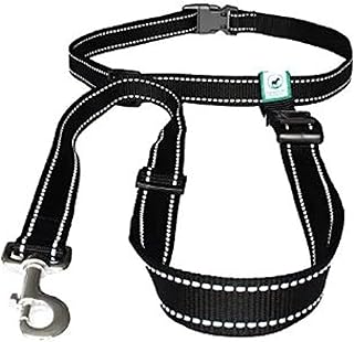Caldwell's Hands-Free Dog Leash