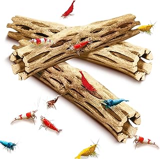 SunGrow Cholla Wood Aquarium Décor