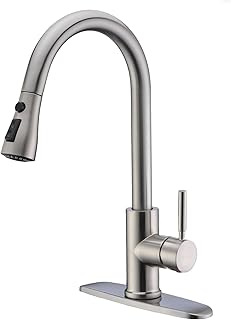 WEWE Single Handle Kitchen Faucet