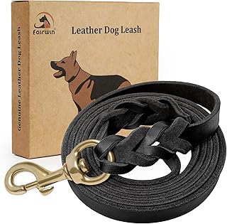 FAIRWIN Braided Leather Dog Leash
