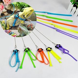 Hypeety Adjustable Lizard Leash Set