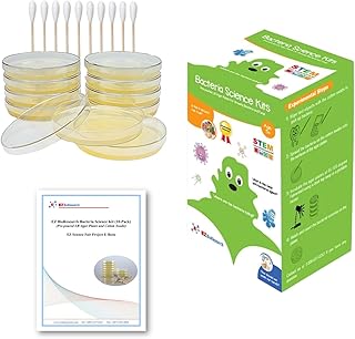 Bacteria Science Kit IV