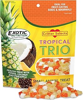 Tropical Trio Dried Fruit Treat