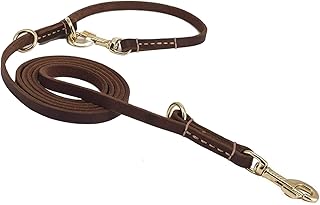 8ft Leather Hands-Free Dog Leash