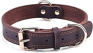 Genuine Leather Heavy-Duty Dog Collar