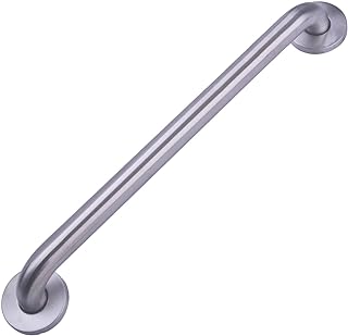 Amazon Basics Handicap Safety Bar
