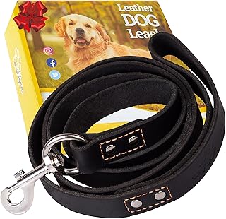 ADITYNA Heavy Duty Leather Leash