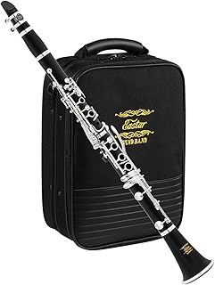 Eastar Ebonite B Flat Clarinet