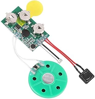 DIY Greeting Card Sound Chip