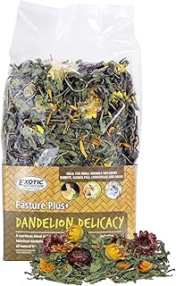 Pasture Plus+ Dandelion Treat