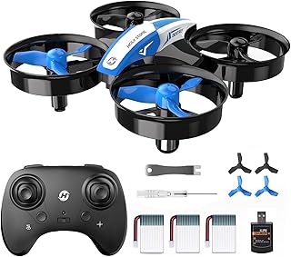 Holy Stone Mini Beginner's Drone