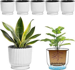 T4U Self Watering Indoor Pots