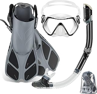 ZEEPORTE Travel Snorkeling Set