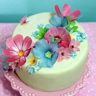 Edible Cake Decorations Set