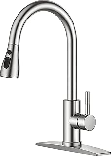 FORIOUS Pull Down Kitchen Faucet