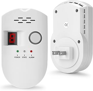 Home Gas Leak Detector