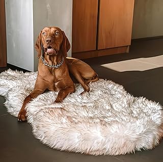 IHAPPYDOG Luxury Faux Fur Orthopedic Dog Bed, Memory Foam Dog Bed? for? Small, Medium, Large and XL Pets, Fluffy Pet Bed with Waterproof ?and ?Washable Cover (White w/Brown Tips, 50"x30")