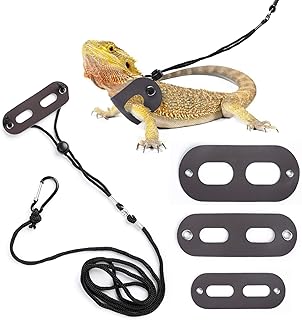 Bearded Dragon Adjustable Harness