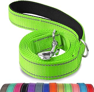 Joytale Reflective Dog Leash