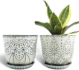 Gepege Beaded Ceramic Planters