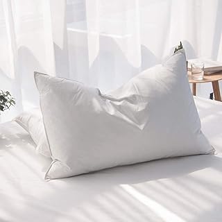 Luxury Queen Feather Pillows