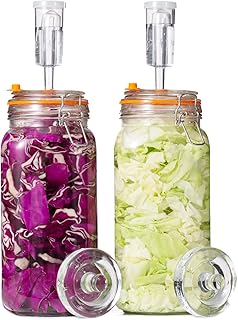 JILLMO 2L Glass Fermentation Kit
