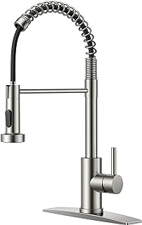 FORIOUS Brushed Nickel Kitchen Faucet