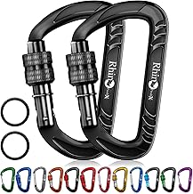 Heavy Duty Locking Carabiner