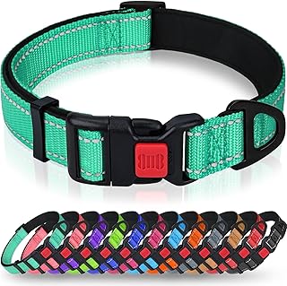 Taglory Reflective Safety Dog Collar