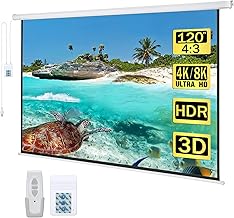 Kayle Motorized Projector Screen