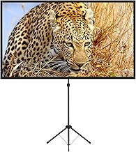 Portable Outdoor Cinema Screen